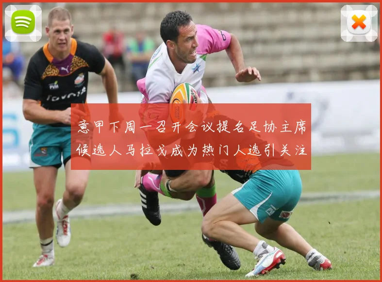 意甲下周一召开会议提名足协主席候选人马拉戈成为热门人选引关注